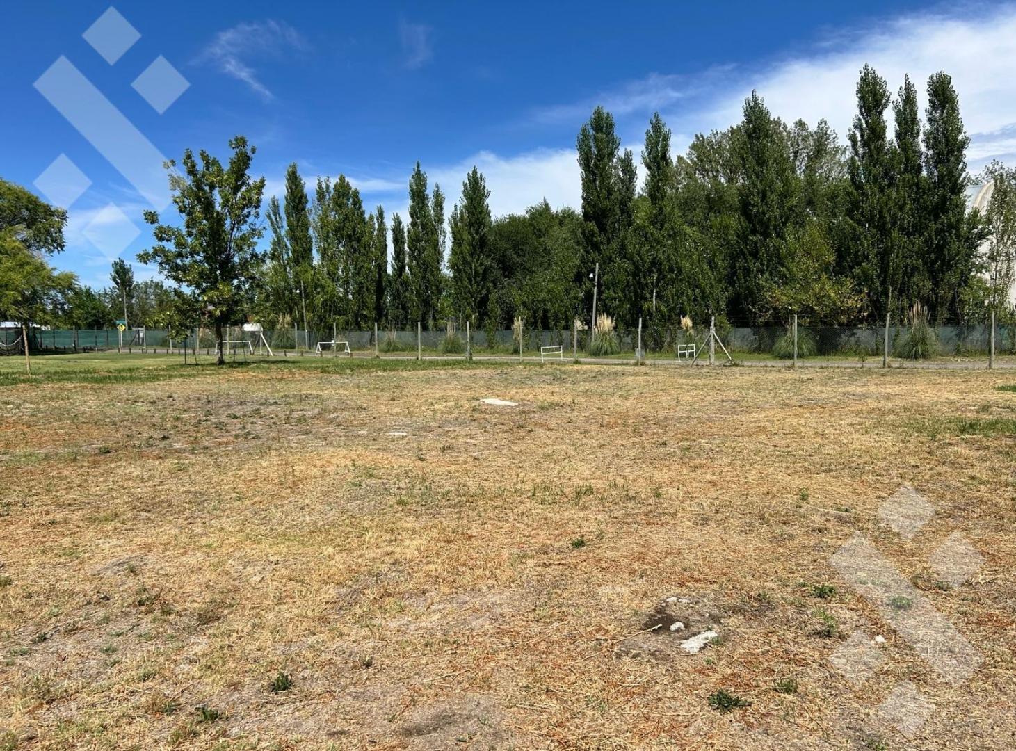 Terreno - La Castellana
