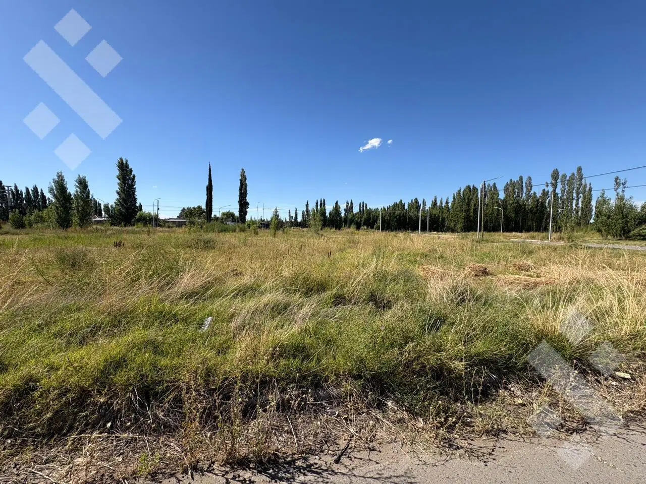 En Venta | Lotes de 360 m2 | Barrio Los Cedros III | Plottier 4