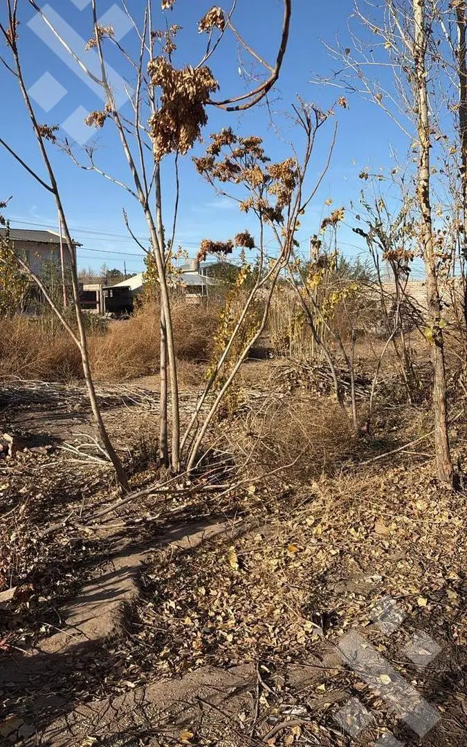 Terreno en Cinco Saltos 2
