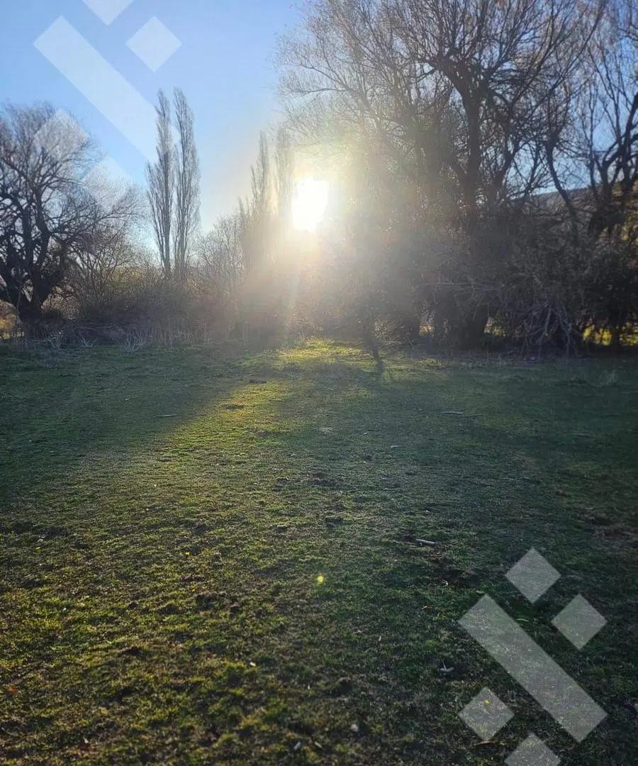 Venta campo 2,5 Has - Vega San Martin - San Martin de los Andes 2