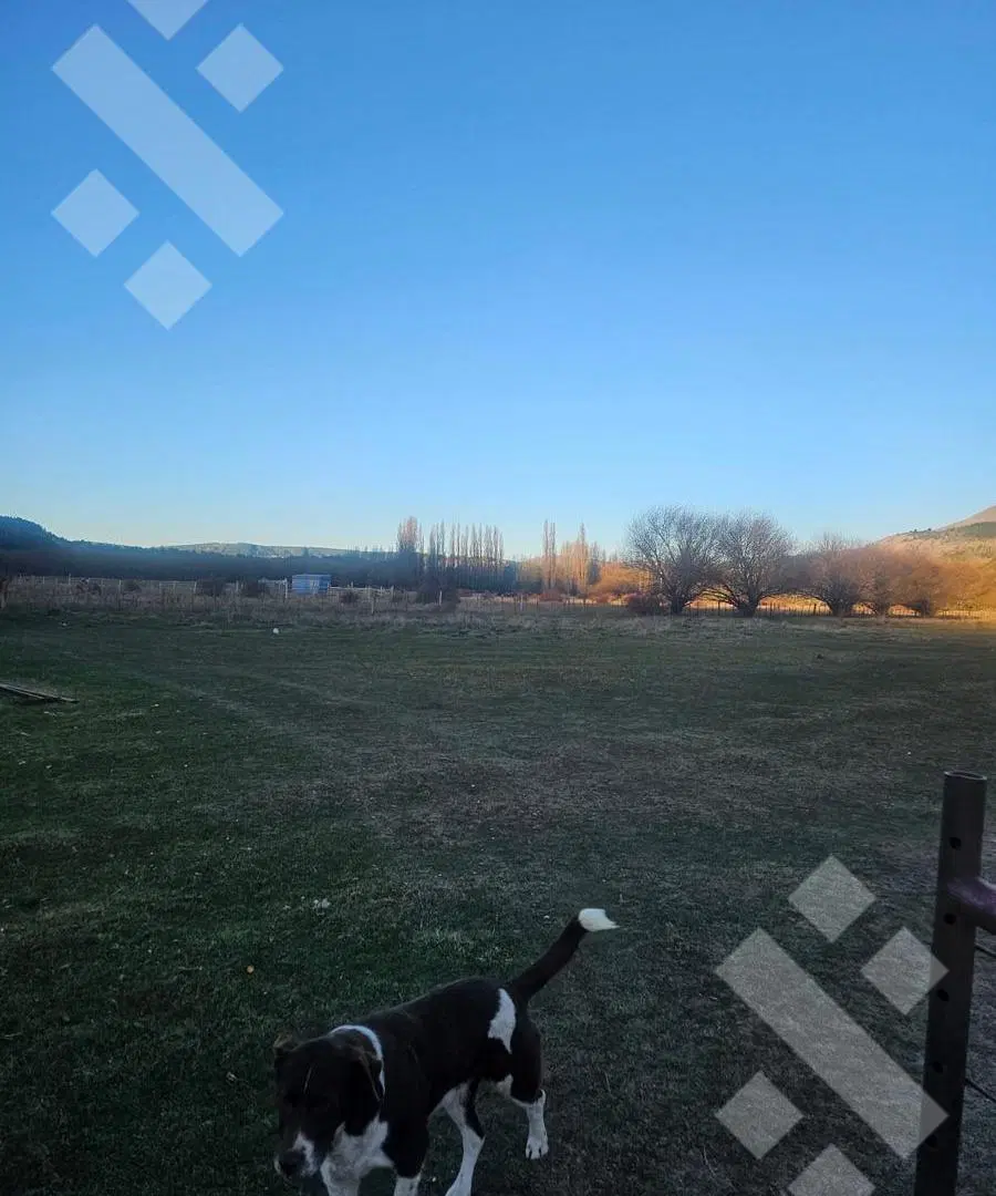 Venta campo 2,5 Has - Vega San Martin - San Martin de los Andes 4