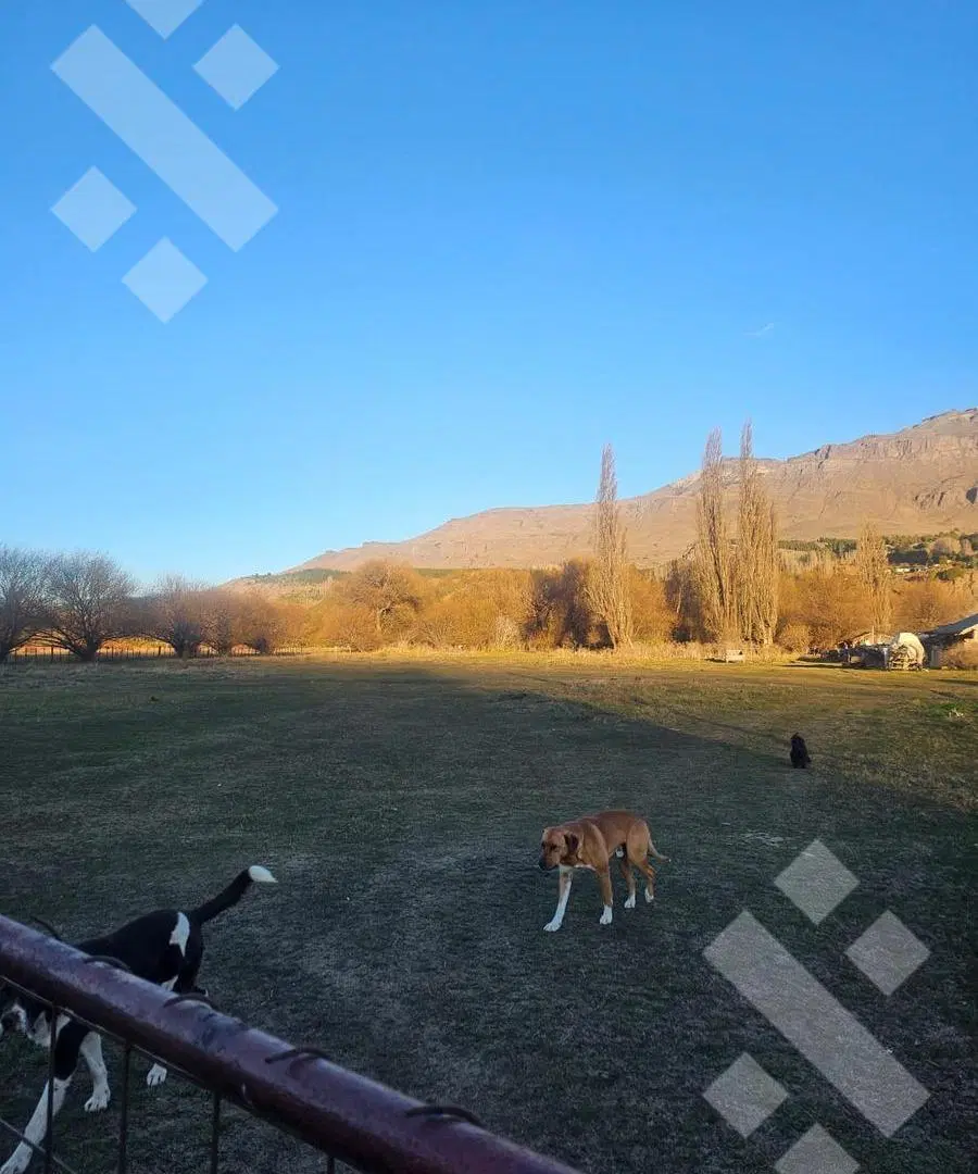 Venta campo 2,5 Has - Vega San Martin - San Martin de los Andes 5
