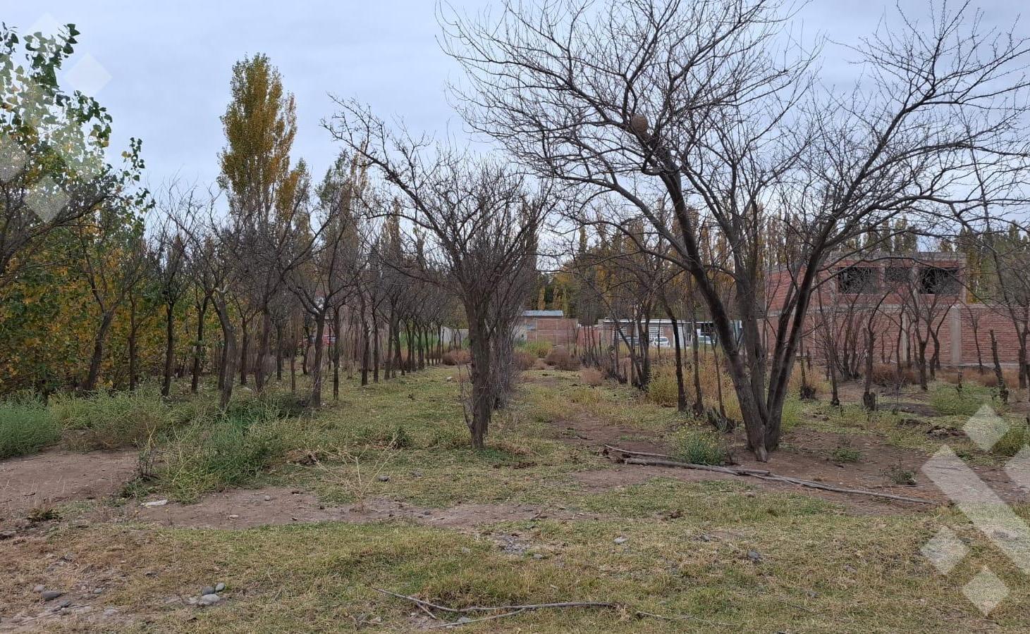 Foto de En Venta | Lote de 200 m2 | Barrio Don Vicente | Neuquén, imagen 5