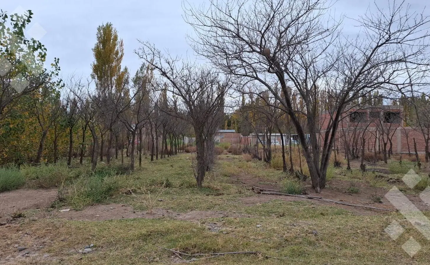 En Venta | Lote de 200 m2 | Barrio Don Vicente | Neuquén 5