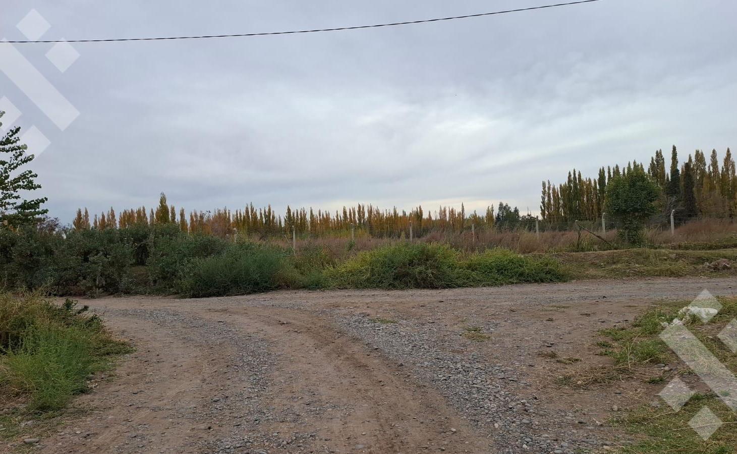 Foto de En Venta | Lote de 200 m2 | Barrio Don Vicente | Neuquén, imagen 3