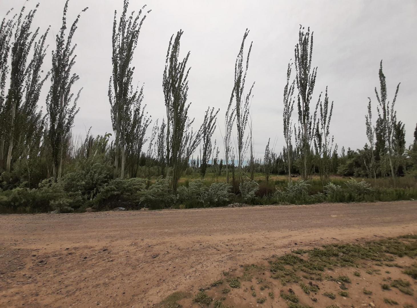 Venta 15 hectareas Sargento Vidal