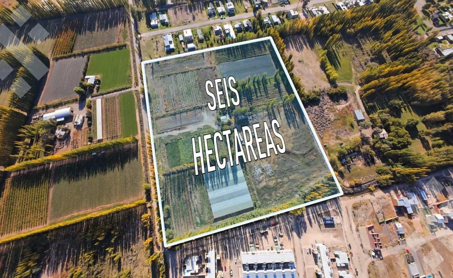 En Venta | Chacra de 6 Hectareas | Neuquén Capital