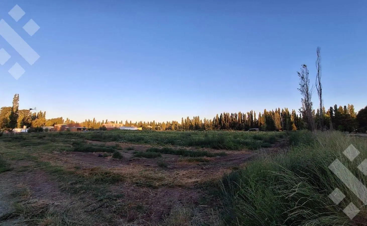 En Venta | Chacra de 6 Hectareas | Neuquén Capital 5