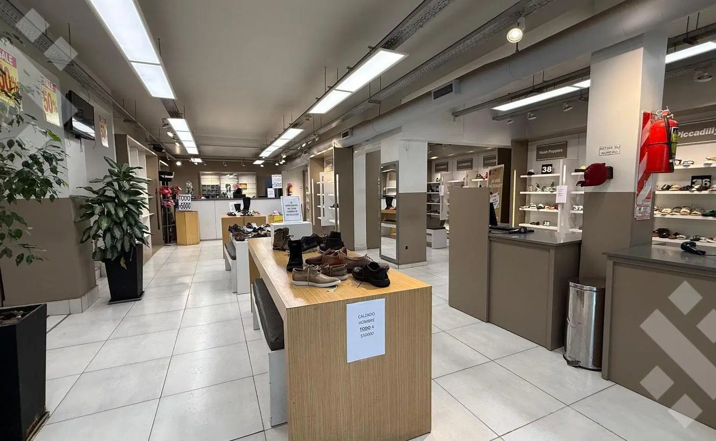 ALQUILER Inmueble comercial - Area Centro Sur 4