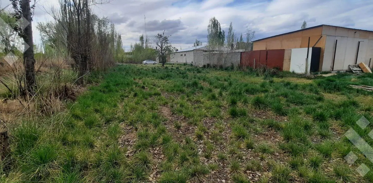 Terreno en venta plottier 5