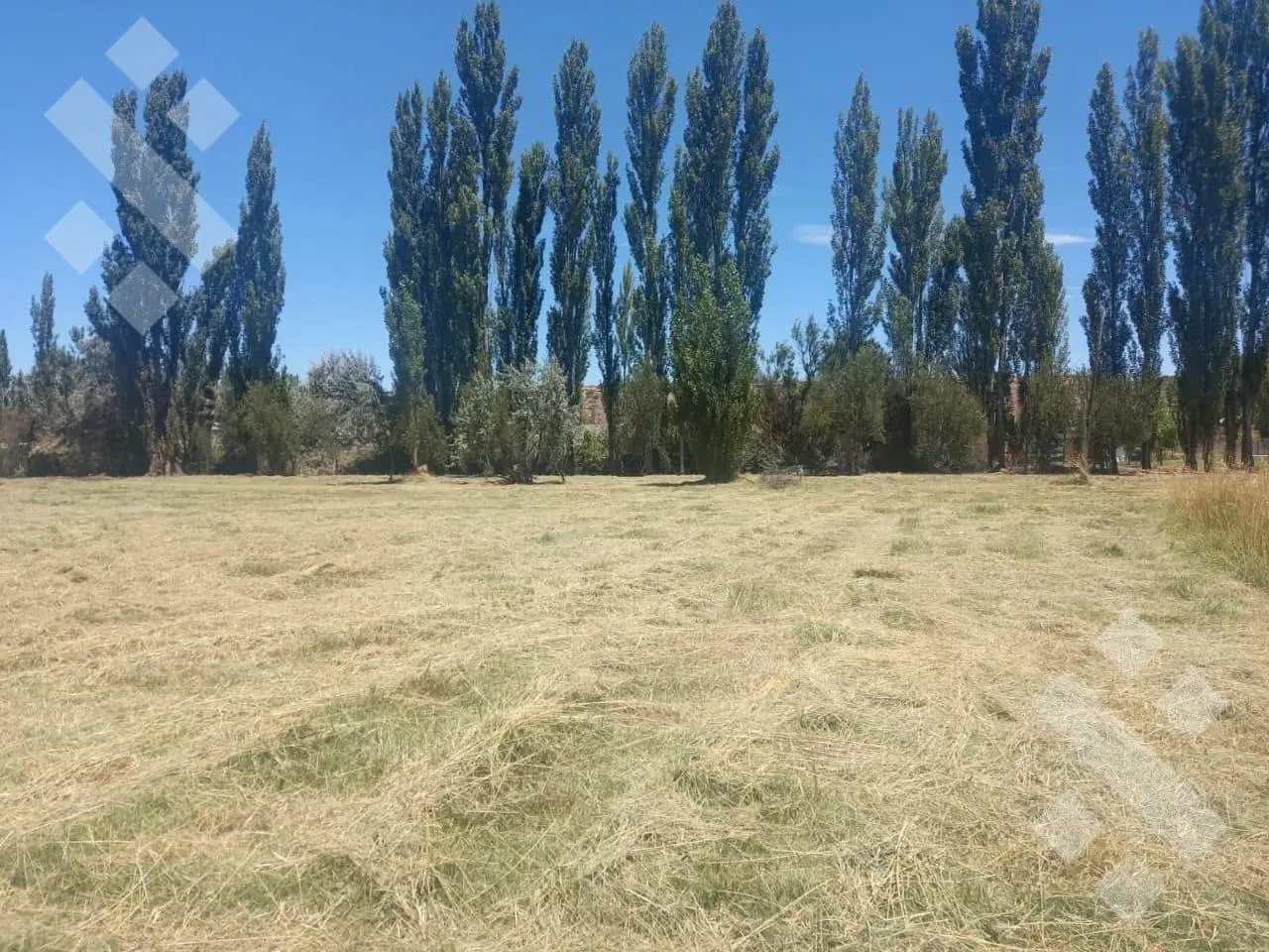 VENTA/PERMUTA LOTE, EN B° "LA QUINTA I" - VISTA ALEGRE NORTE - NEUQUEN 2