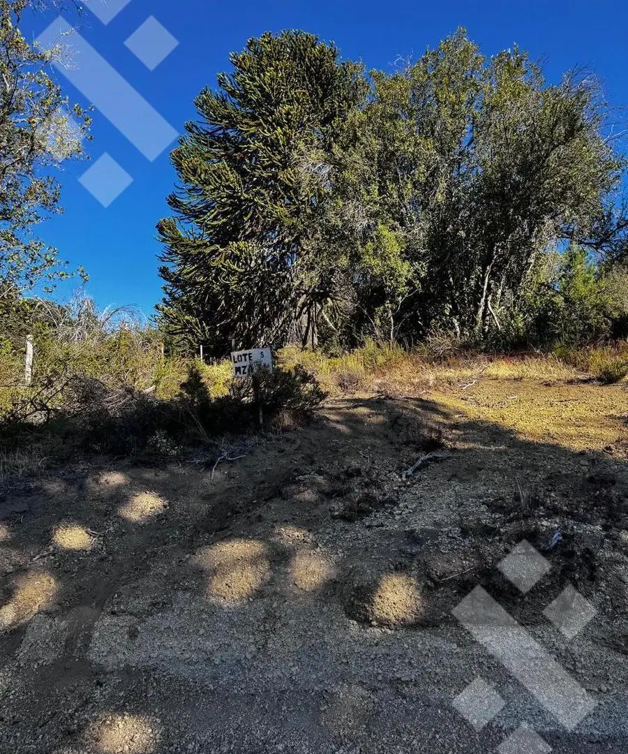 Terreno Villa Pehuenia- 951,38 m2 5