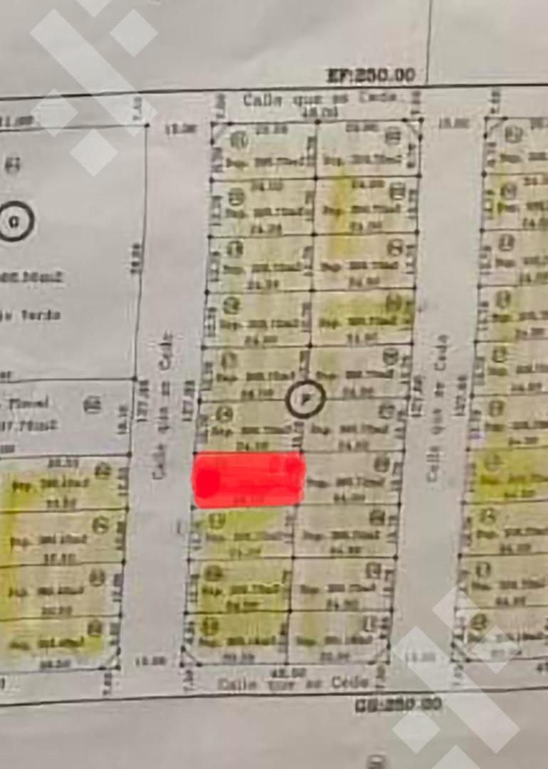 Foto de VENTA LOTE 306m2 - LOTEO LAS ESCULTURAS, ALLEN, imagen 5