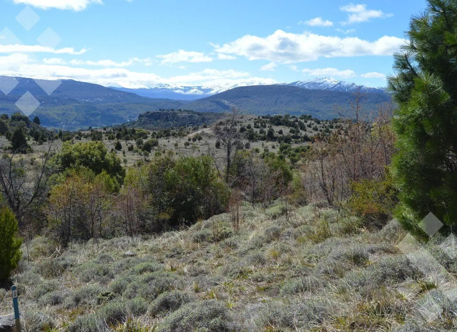 Venta terreno 1200 m2, Pueblo Chapelco, San Martin De Los Andes 3