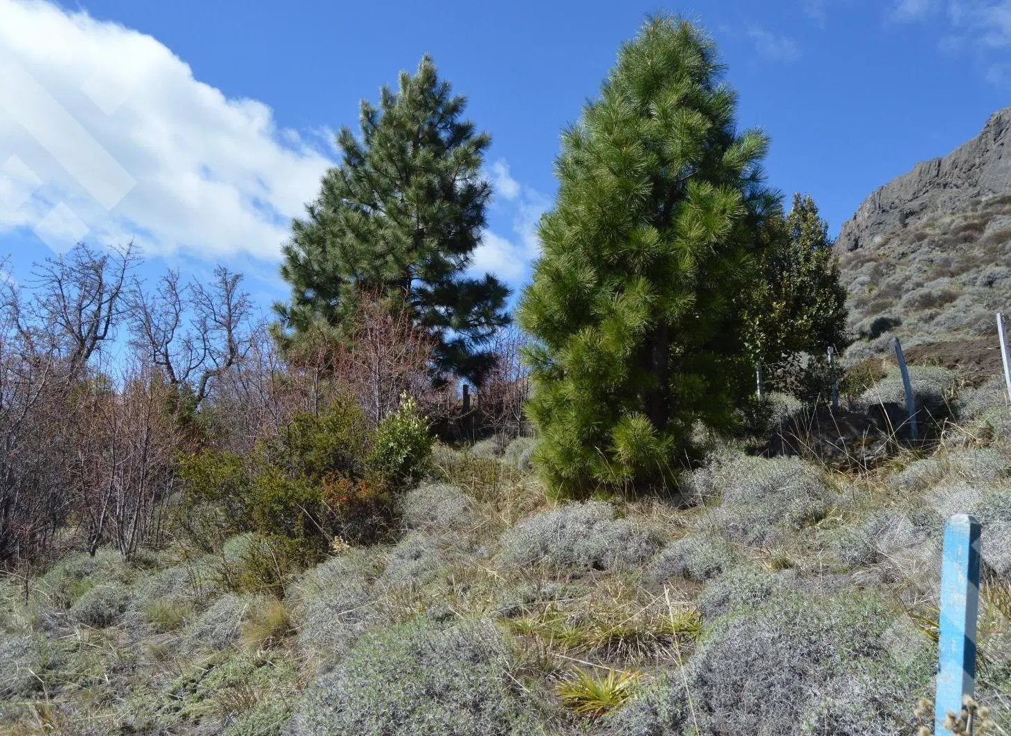 Venta terreno 1200 m2, Pueblo Chapelco, San Martin De Los Andes 2