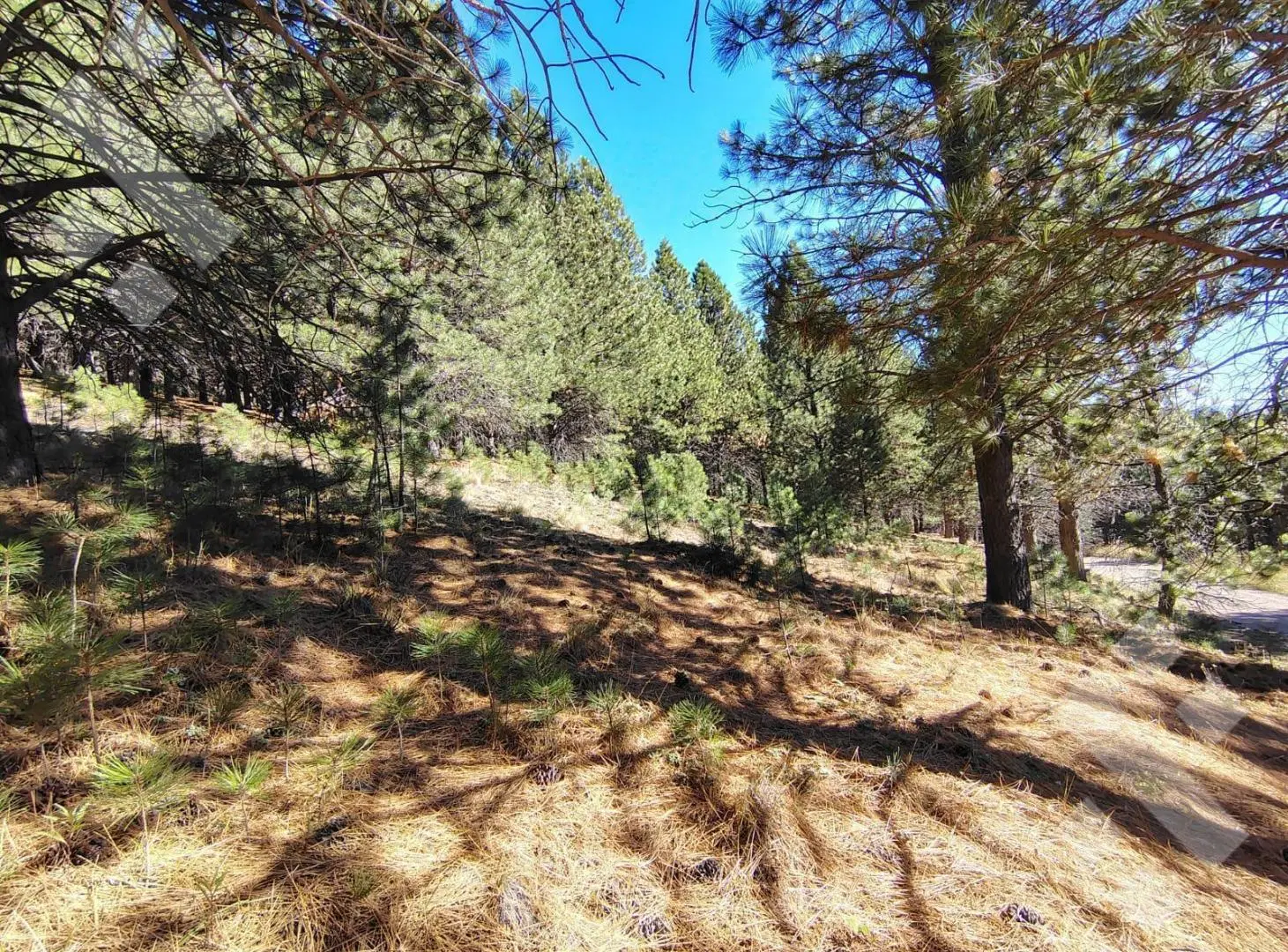 Venta lote 800 m2 - Barrio El Remanso - San Martin de los Andes 3