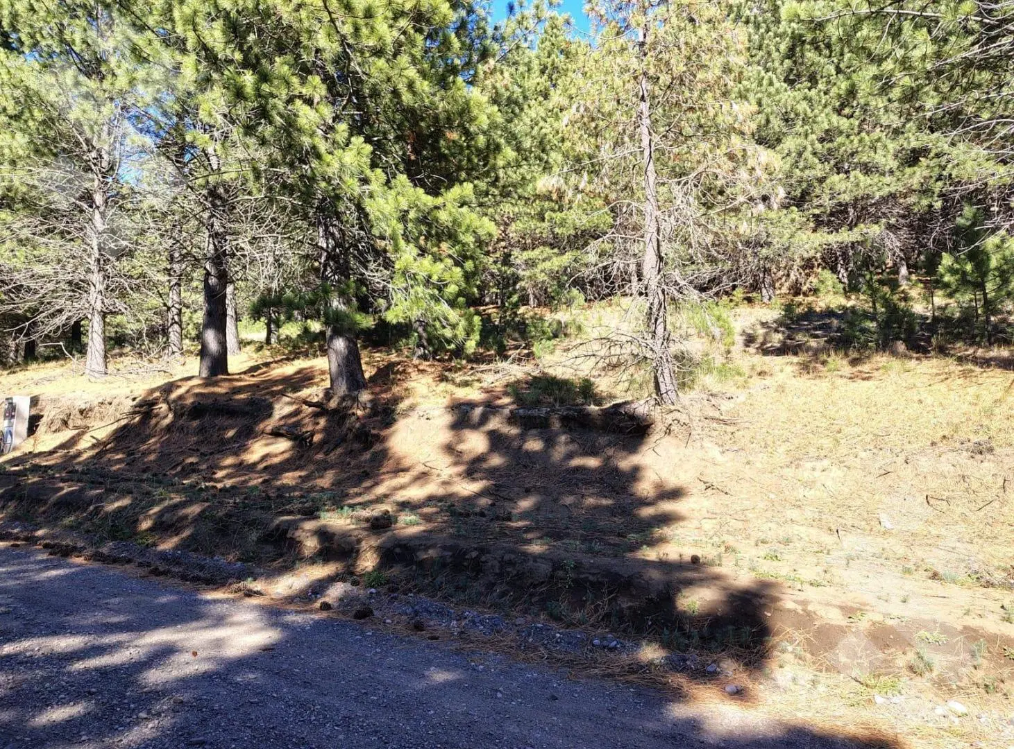 Venta lote 800 m2 - Barrio El Remanso - San Martin de los Andes 6