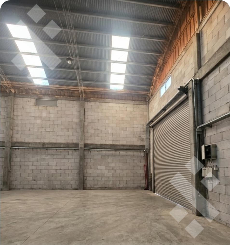 Foto de En Alquiler | Galpon de 288 m2 | Calle Pellegrini | Plottier, imagen 3