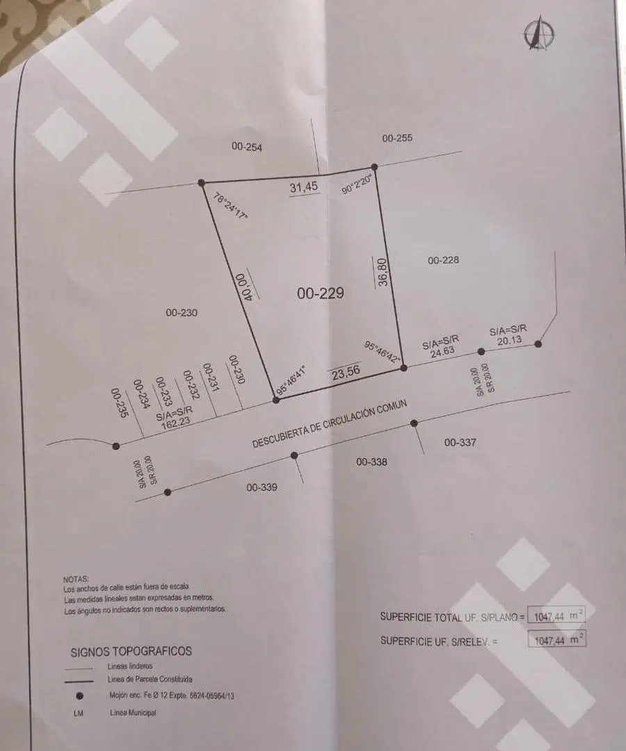 Plano 1
