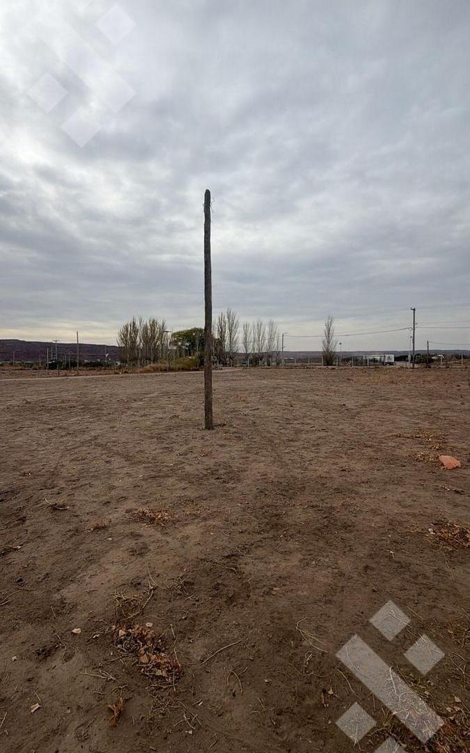 Foto de En Venta | Lote de 3500 m2 | Calle 24 | Añelo, imagen 5