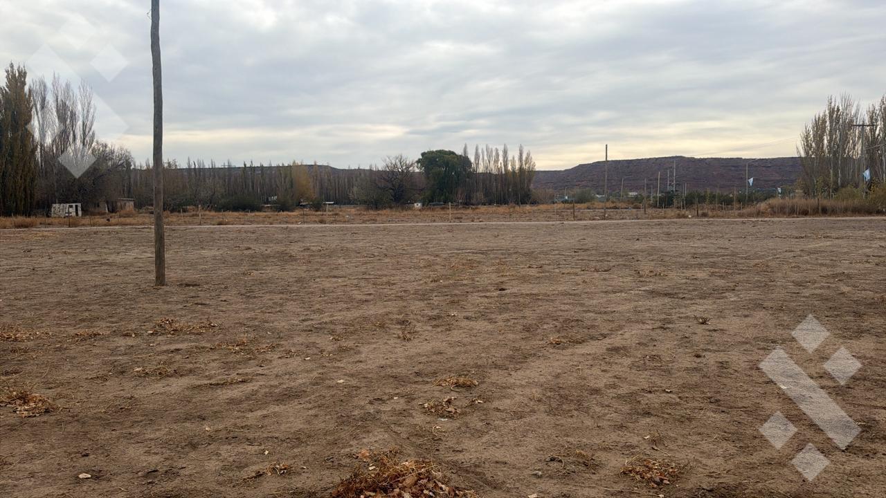 Foto de En Venta | Lote de 3500 m2 | Calle 24 | Añelo, imagen 2