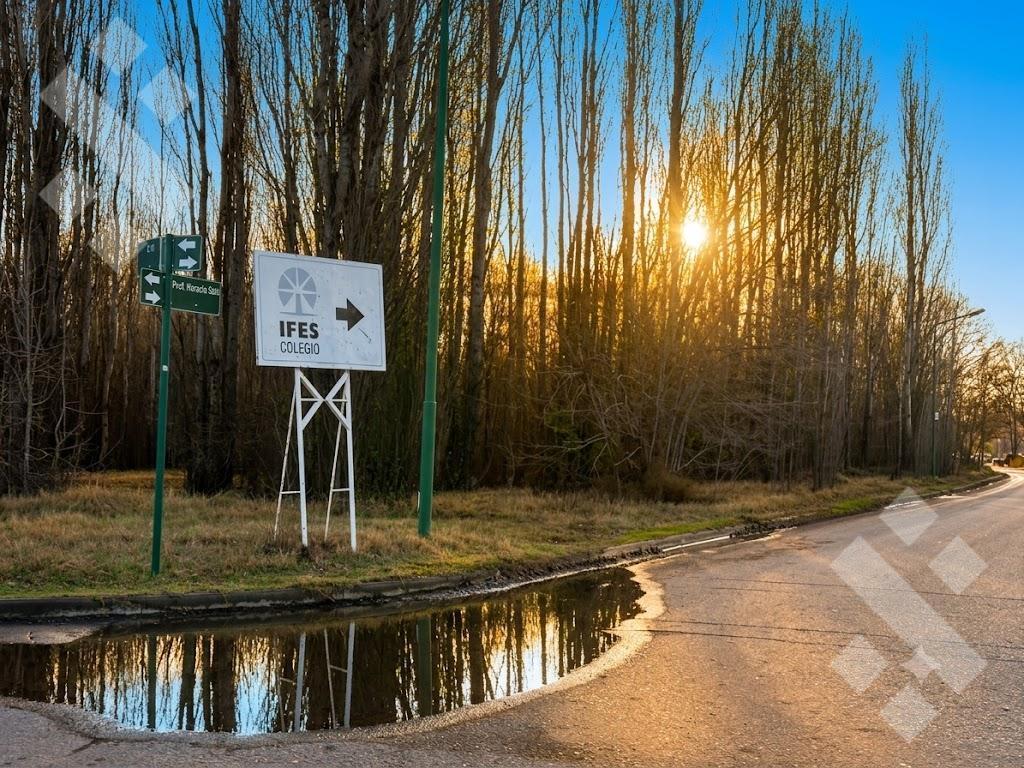 Foto de En Venta | Terreno de 329 m2 | Barrio Moradas del Agua | Plottier, imagen 4
