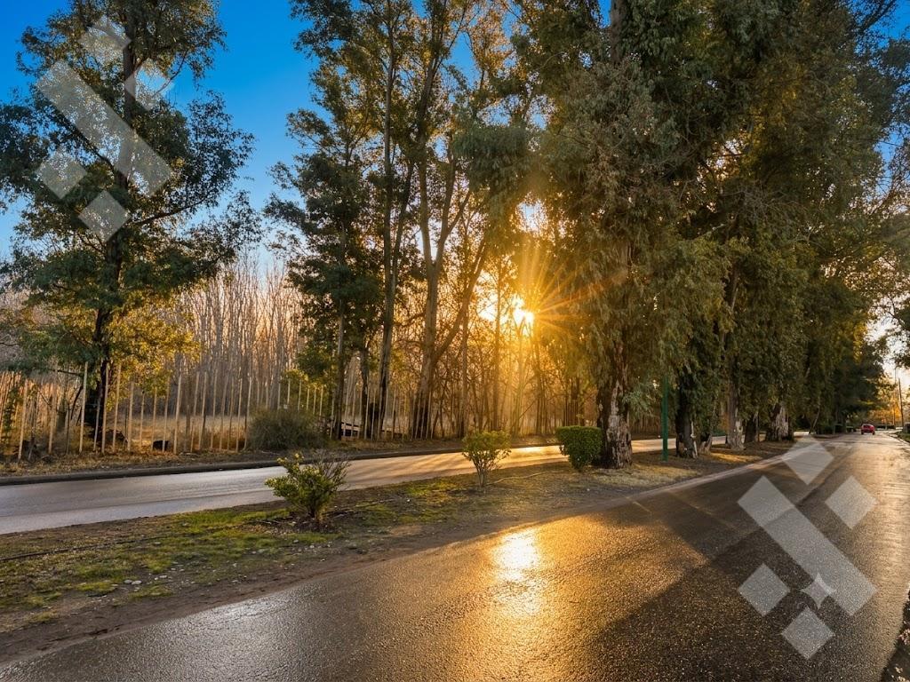 Foto de En Venta | Terreno de 329 m2 | Barrio Moradas del Agua | Plottier, imagen 5