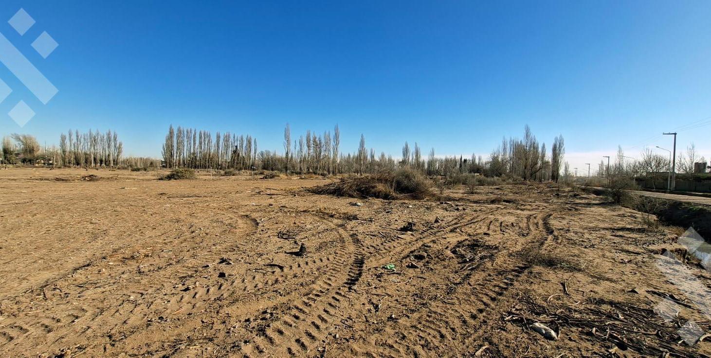 Foto de Venta Lote 250 m² – Loteo Dipp - Neuquén Capital, imagen 1