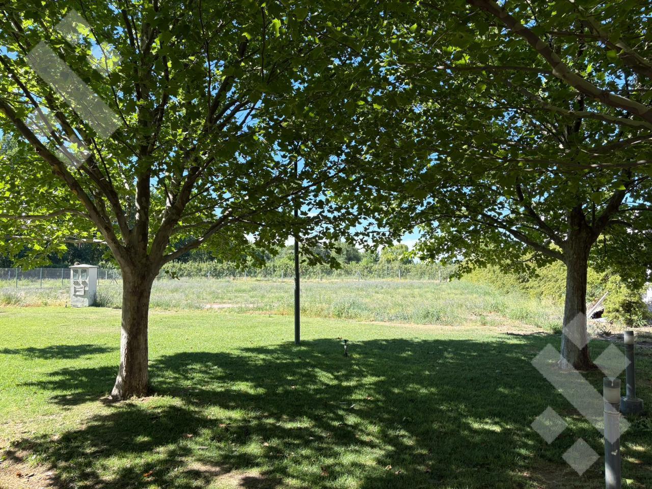 Foto de VENTA LOTE 1025 M2 - B° PRIVADO LA CAMPIGNA , GENERAL ROCA, imagen 2