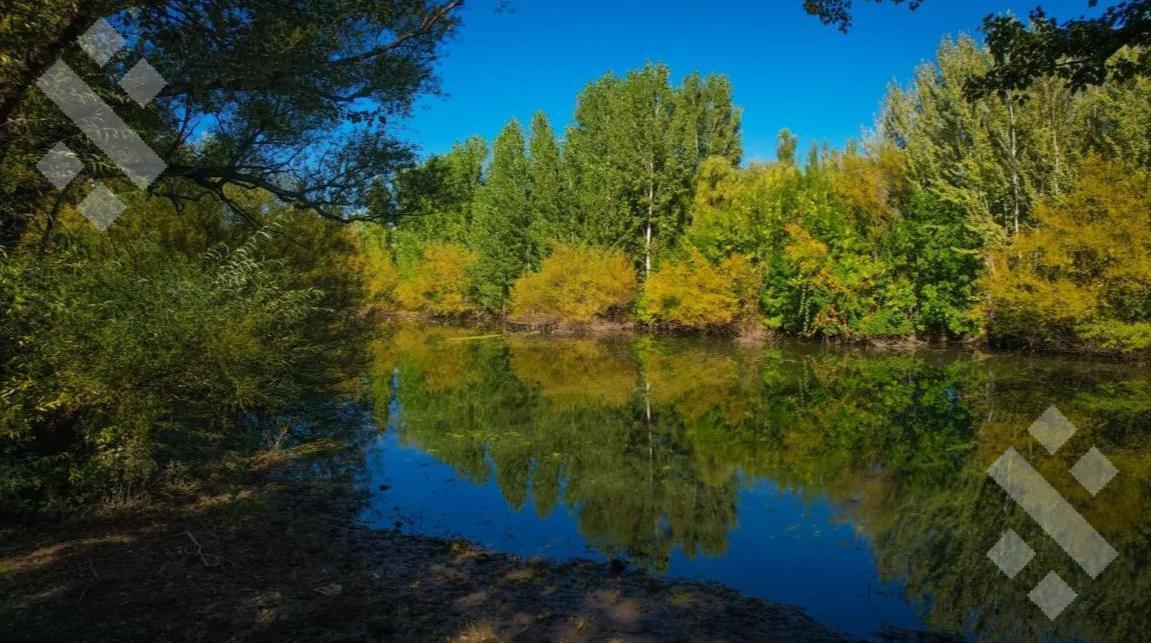 Foto de Venta Lote 440 m2 - La Reserva Bº Botánico - Plottier, imagen 4