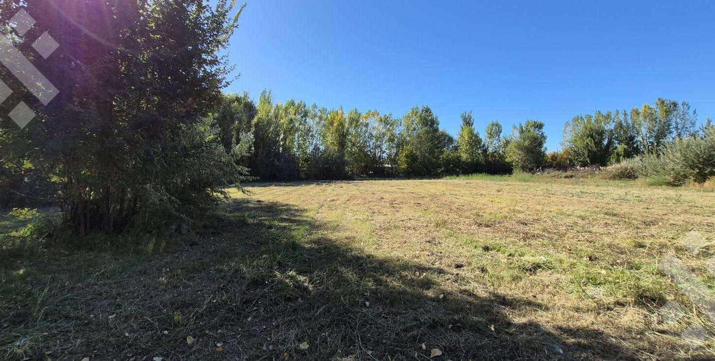 Foto de Terreno en Cipolletti, imagen 2