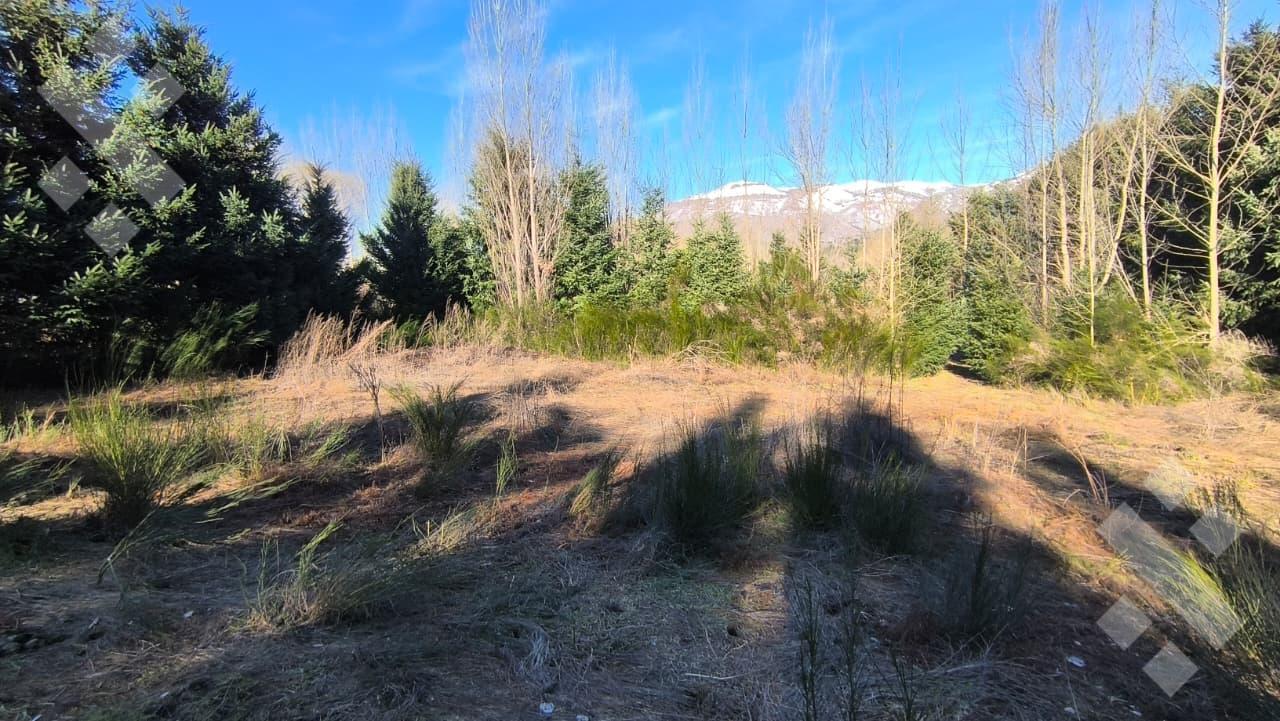 Foto de Venta Lote 2000 mts Callejón de Gin Gin - San Martín de los Andes, imagen 3