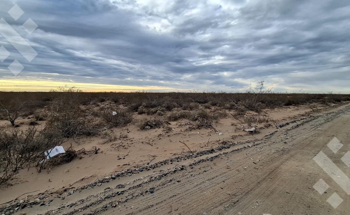 Foto de En Venta | 5 Hectaréas | Ruta 67 Provincial | Neuquén, imagen 5