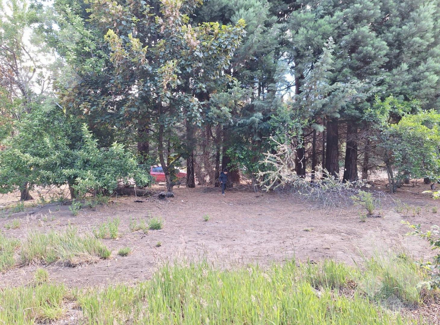 Foto de Venta lote de 450 m2 - Aires del Valle - San Martin de los Andes, imagen 3