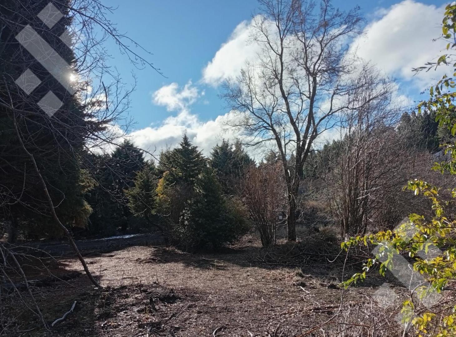 Foto de Venta lote de 450 m2 - Aires del Valle - San Martin de los Andes, imagen 4