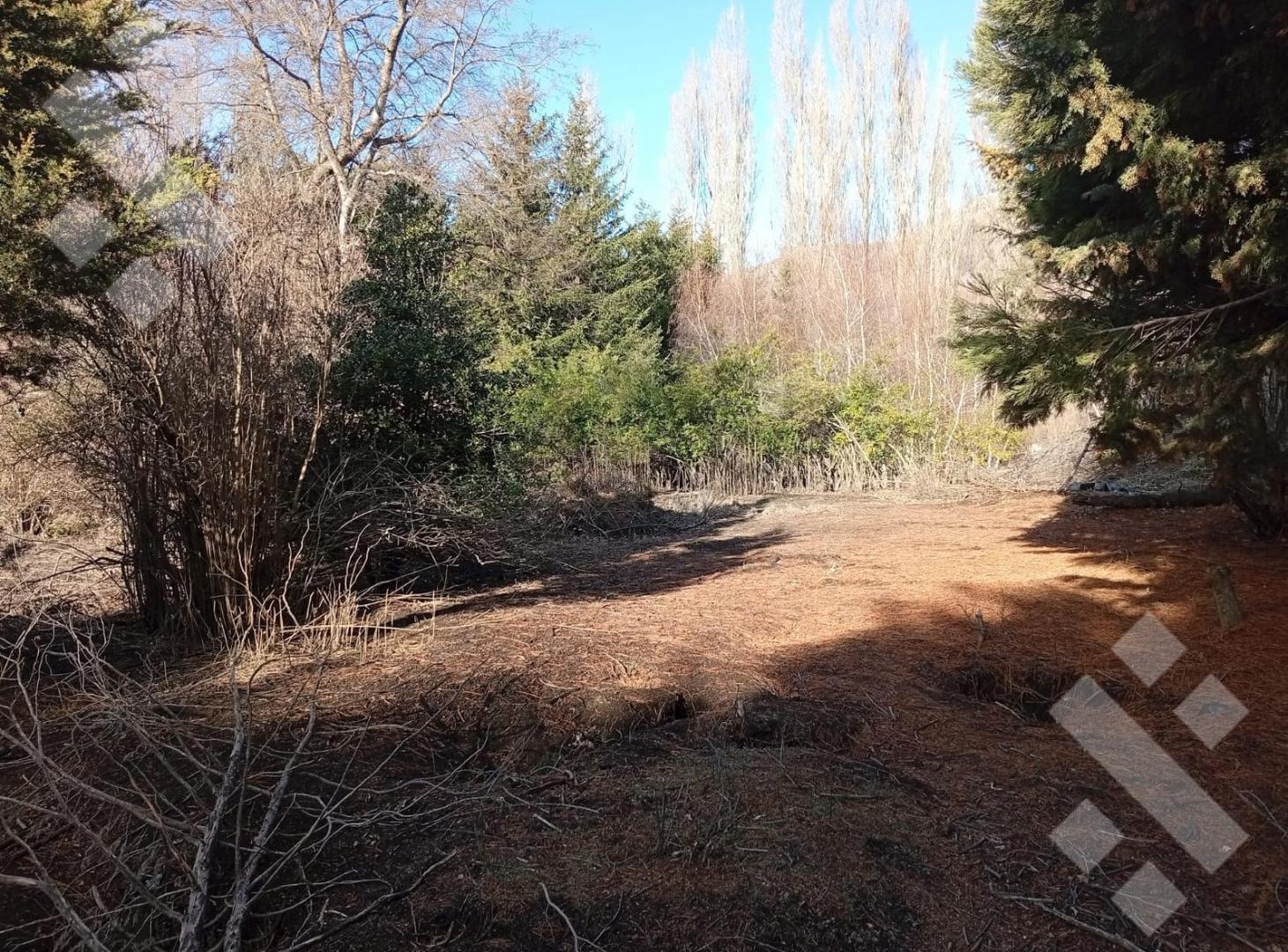 Foto de Venta lote de 450 m2 - Aires del Valle - San Martin de los Andes, imagen 5