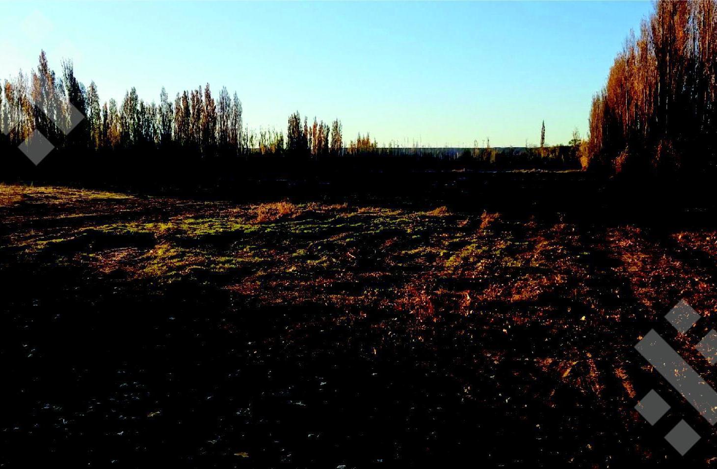 Foto de Venta Lote 300m2 Ayres de Plottier, imagen 3