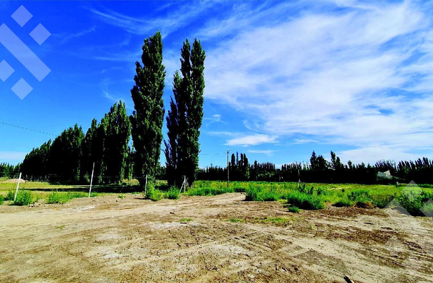 Foto de Venta Lote 300m2 Ayres de Plottier, imagen 4