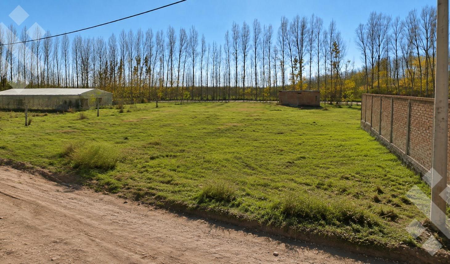 Foto de Terreno en San Patricio Del Chañar, imagen 3