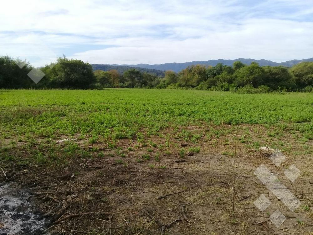 Foto de Terreno - La Merced, imagen 5