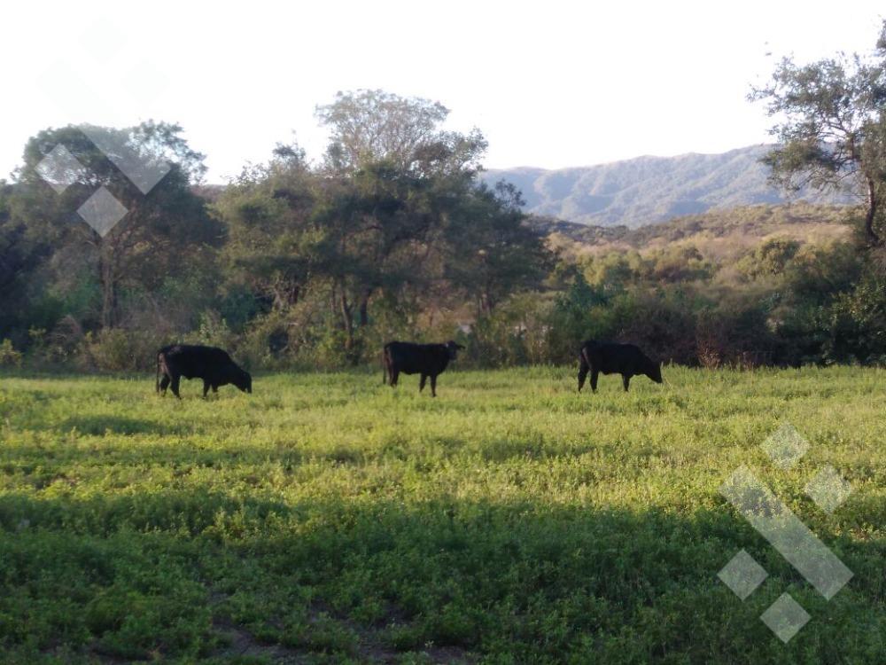 Foto de Terreno - La Merced, imagen 2