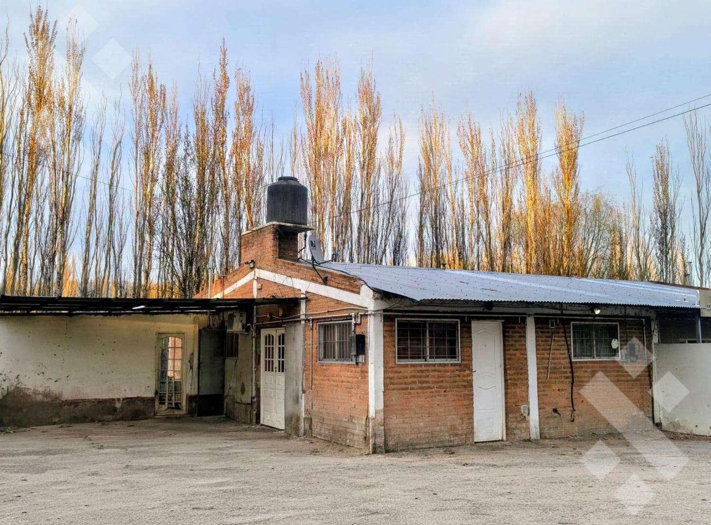 Foto de Alquiler casa 3 dorm Chacras, calle 20 y 2 Centenario Neuquen, imagen 4