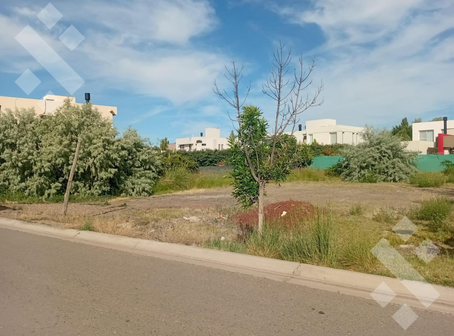 Foto de VENTA DE TERRENO COMAHUE GOLF CLUB, imagen 1