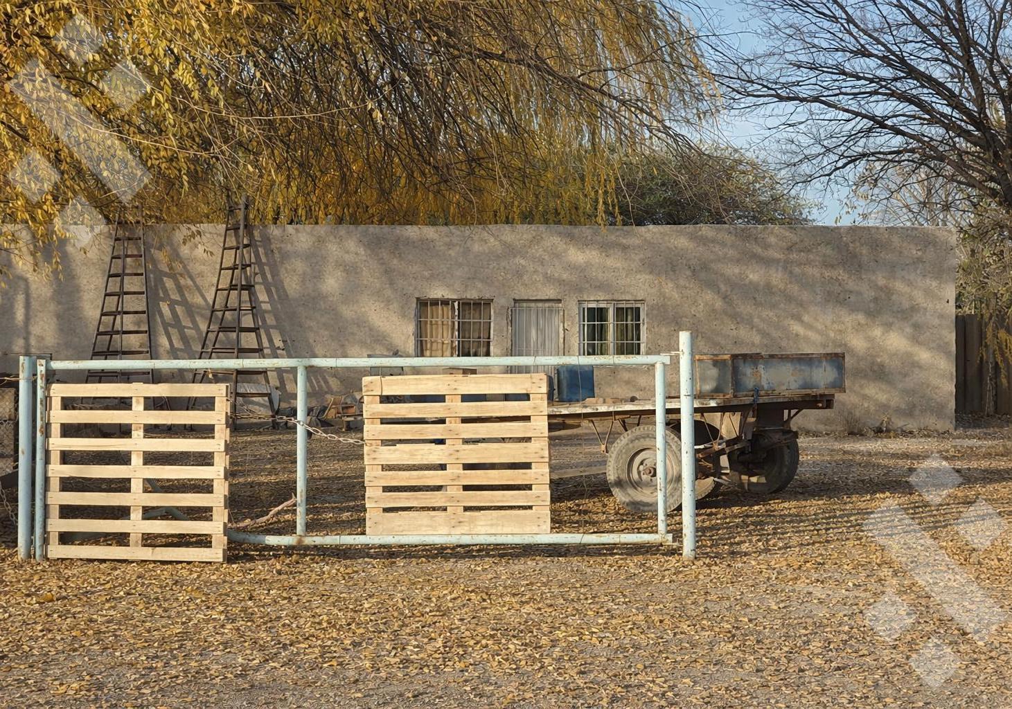 Foto de VENTA 11,7 HA CHACRA PRODUCTIVA sobre ruta 65 -Fernández Oro- Río Negro, imagen 4