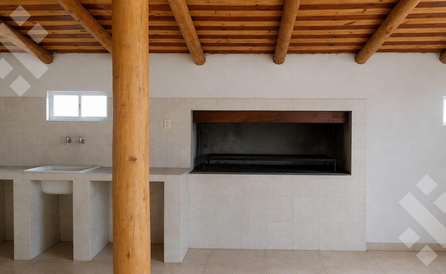 Foto de VENTA 11,7 HA CHACRA PRODUCTIVA sobre ruta 65 -Fernández Oro- Río Negro, imagen 5