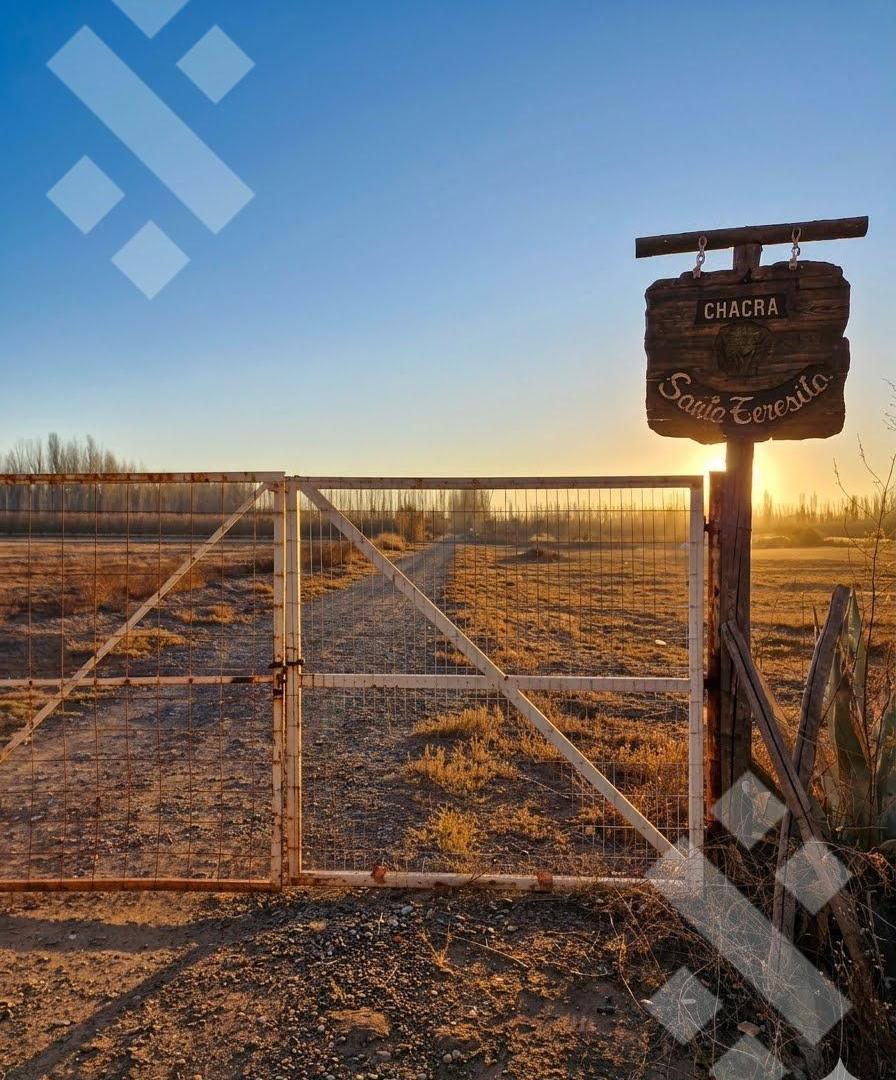 Foto de Venta Chacra - Calle Julio Salto - Frente a la Nonina - Cipolletti -, imagen 2