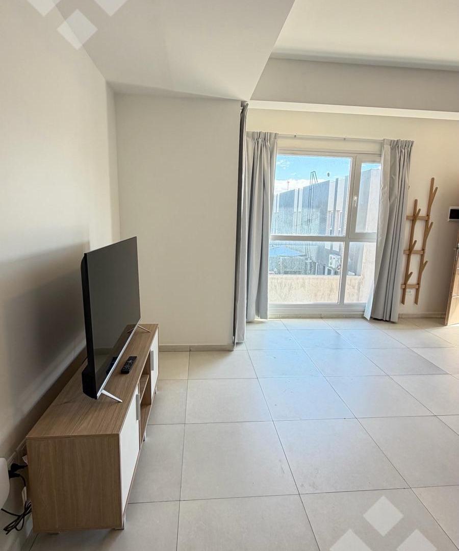 Foto de Departamento - Centenario, imagen 1