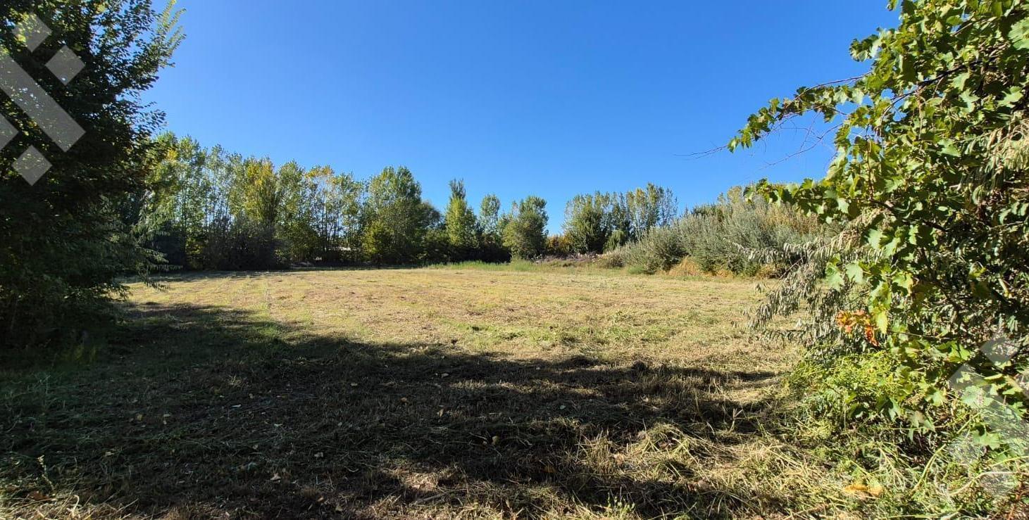 Foto de VENTA LOTE 4300m2 - Barrio Cerrado, CIPOLLETTI, imagen 5