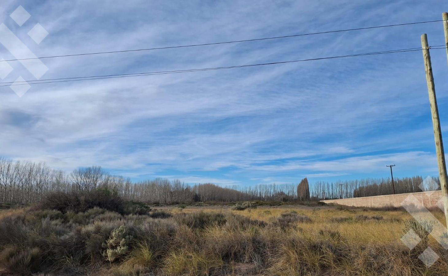 Foto de En Venta | 2,31 Hectareas | Sobre Ruta 22 | Plottier, imagen 2