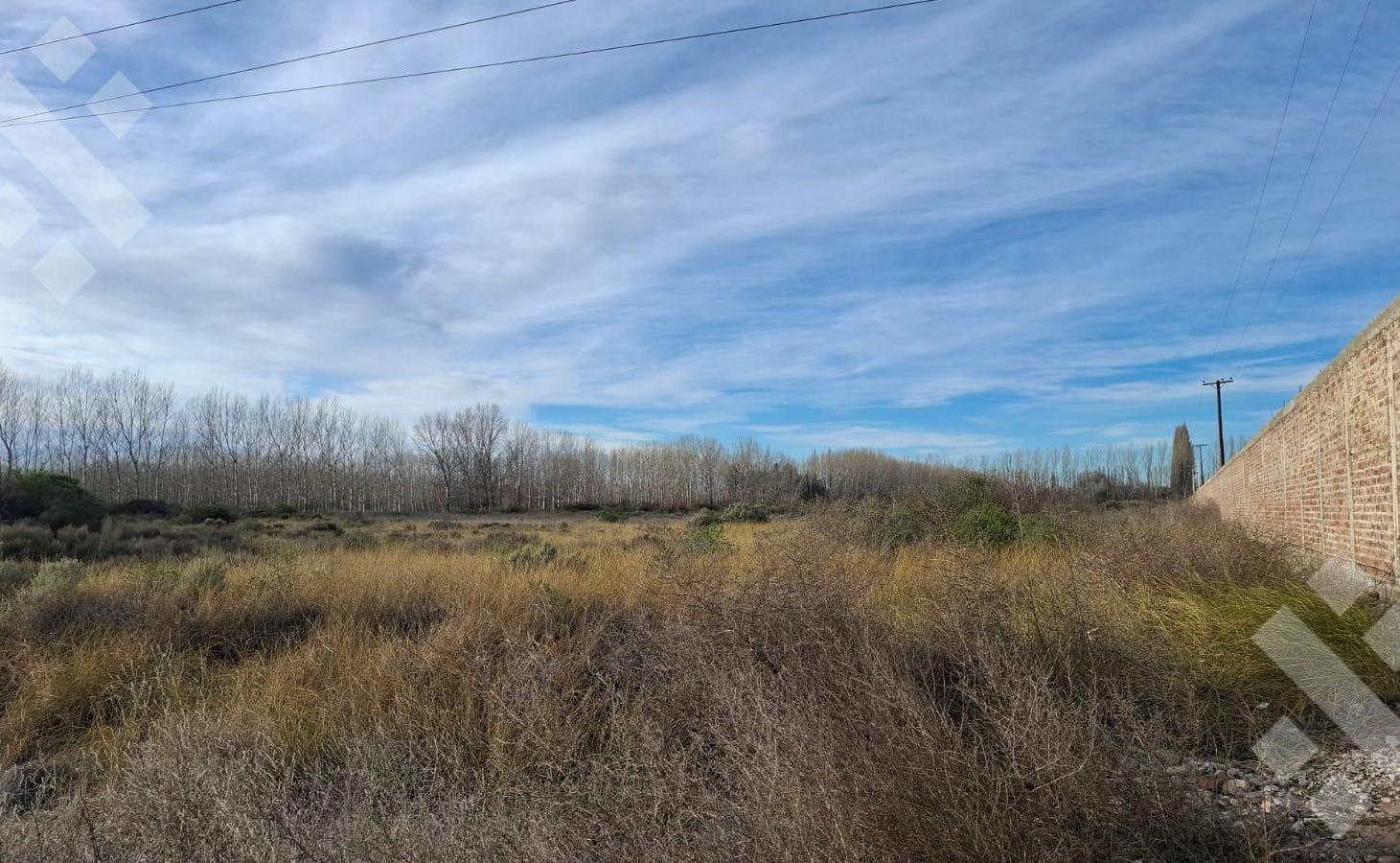 Foto de En Venta | 2,31 Hectareas | Sobre Ruta 22 | Plottier, imagen 1